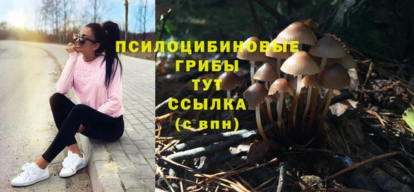 СК Навашино